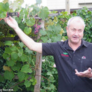 Sommerschnittkurs_2018_015.jpg
