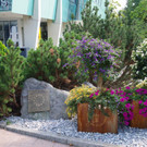 Flora_Bewertungsrundgang_Land_2018_003.jpg