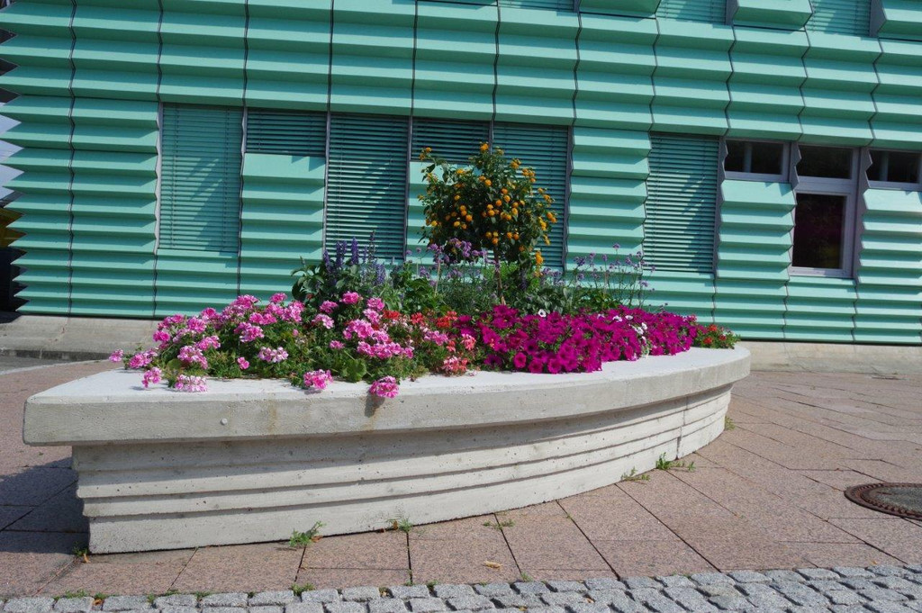 Flora_Bewertungsrundgang_Land_2018_001.jpg