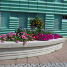 Flora_Bewertungsrundgang_Land_2018_001.jpg