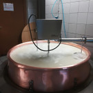 IMG-20180810-WA0010.jpg