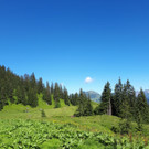 IMG-20180810-WA0003.jpg