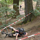 Zanzenberg2018__85_.JPG
