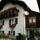 Schnifis Stark G  _2_.JPG