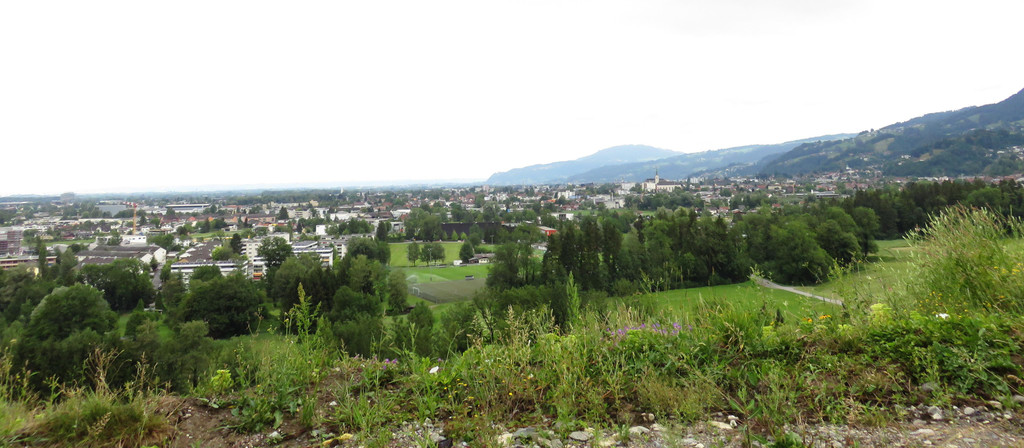 IMG_3156.JPG