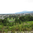 IMG_3156.JPG