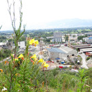 IMG_3166.JPG