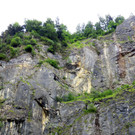 IMG_3179.JPG