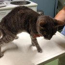 2018-08-10 21_19_30.jpg