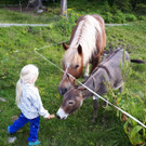 IMG-20180810-WA0005.jpg