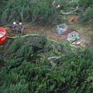 DSCF0173.JPG