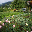 Sonntag Hartmann G  _3_.JPG