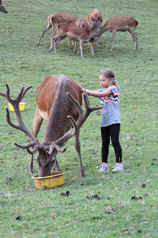 Wanderung 4.jpg