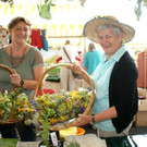 FNL Kr__utergarten Lustenau.JPG