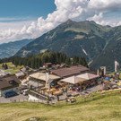 Brunellawirt