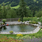 Sonntag Sch__nacher G  _8_.JPG