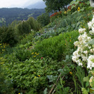 St Gerold G  _2_.JPG