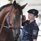 berittene polizei.jpg