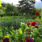 St Gerold G  _4_.JPG