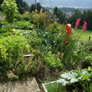 Th__ringen Domig G  _6_.JPG