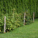 Th__ringen Ebner G  _4_.JPG