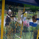 Th__ringen Ebner G  _6_.JPG