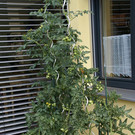 Th__ringen Ebner G  _7_.JPG