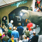 Eisgrotte Salzburg