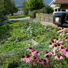 Th__ringen Tschann G  _5_.JPG