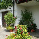 Th__ringen Tschann G  _6_.JPG