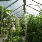 Th__ringen Walter G  _4_.JPG