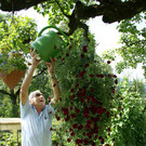 Th__ringen Walter G  _6_.JPG