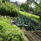 Th__ringen Walter G  _7_.JPG