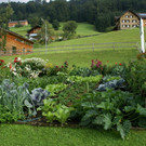 Th__ringerberg Nigsch G  _6_.JPG