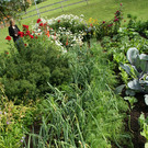 Th__ringerberg Nigsch G  _7_.JPG