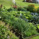 Th__ringerberg Nigsch G  _8_.JPG