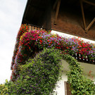 Th__ringerberg Nigsch G  _9_.JPG