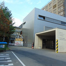DSC07620.JPG