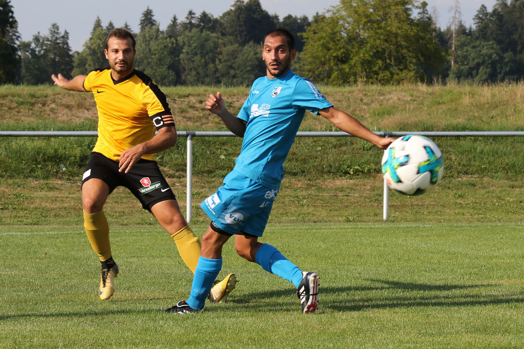 2018-08-19_0125_bearbeitet-1.jpg