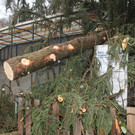 vorschaeden_IMG_7967.JPG