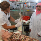 kindertraum_Gips _5_.jpg
