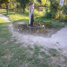 20180822_184253.jpg