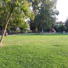 20180822_184509.jpg