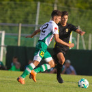 file71kgpis5o8j19f13s2vs.jpg
