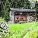 Gättermaisäß in Gargellen