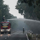AFP_18K3NX.jpg