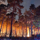 AFP_18K3B7.jpg