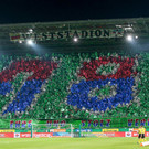 Rapid Wien gegen Steaua Bukarest