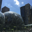 amazon-new2.JPG