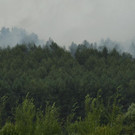 Meldungsliste_45__4.jpg